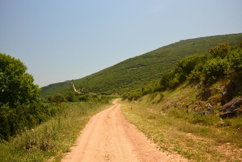 Dorak Bahar